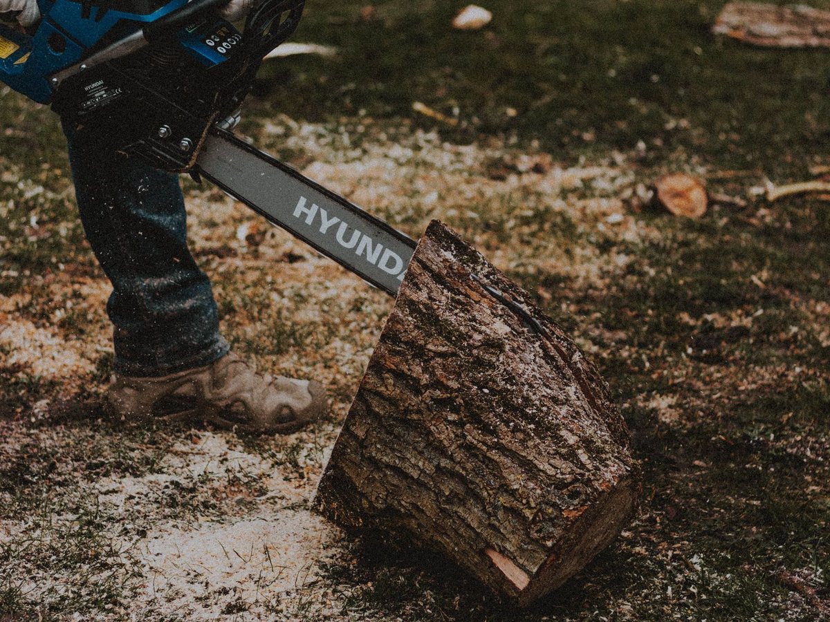 Electric Saw Service